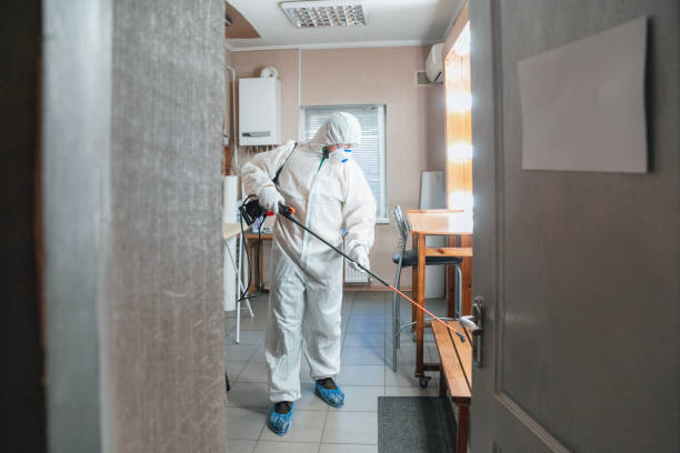 Best Mold Removal for HVAC Installations  in Marshalltown, IA